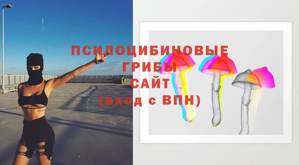spice Бугульма