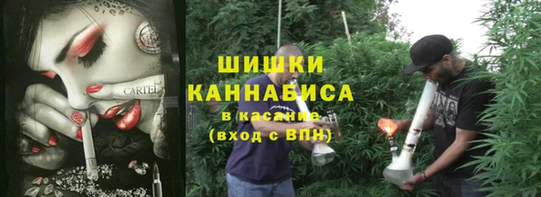 spice Бугульма